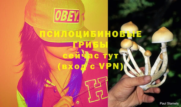 метамфетамин Вяземский