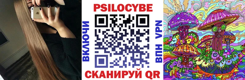 Галлюциногенные грибы Psilocybine cubensis Поворино
