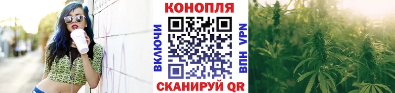 купить   Поворино  Конопля Amnesia 